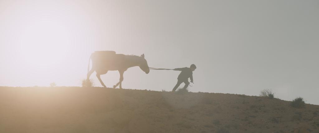 Prix Mèche Courte / RMC au Festival du film de Saint Paul Trois Châteaux