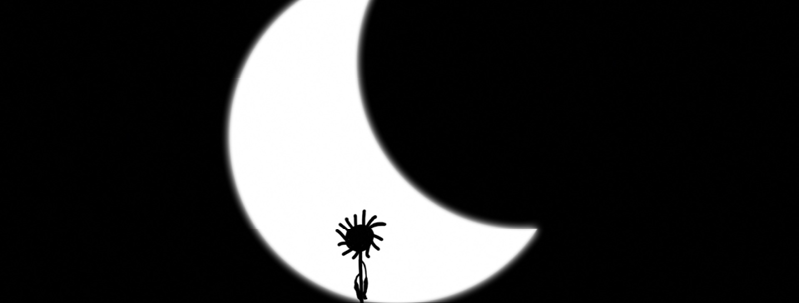 Tournesol