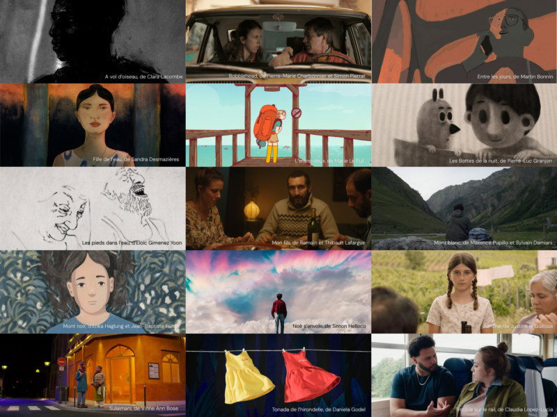 15 nouveaux films au catalogue Mèche Courte 2026 !